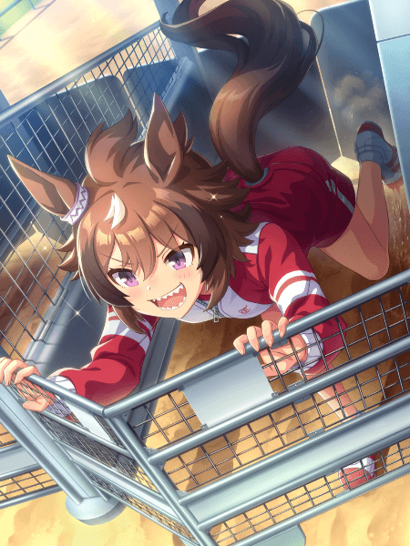///WARNING GATE///